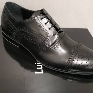 Luigi Traini   art. 49015